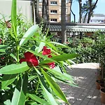 Abbazia Otel 3*